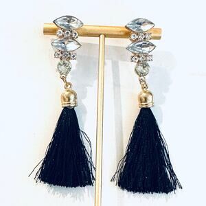 Jewel Tassel Drop Earrings